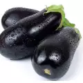 Vinete