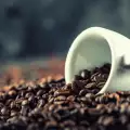 Cafea Robusta - ce trebuie să știm despre ea