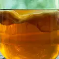 Kombucha - ciupercă de ceai care a devenit o adevărată cultură