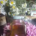 Ulei de mușețel