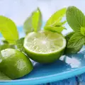 Menta