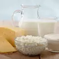 Urdă de casă