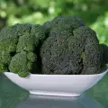 Clorofilă