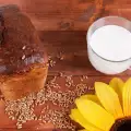 Făină de floarea-soarelui