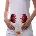 Alimente care curăță rinichii