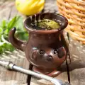 Yerba Mate - băutura secretă cu proprietăți miraculoase