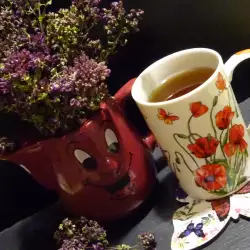 Ceai de oregano (Origanum vulgare)
