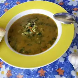 Supă Cremă cu iaurt