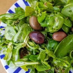 Salată de ton cu salată de câmp, rucola și spanac