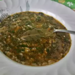Supă de spanac cu orez și morcovi