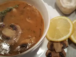 Terci aromat din ciuperci Champignion