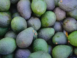 Cum ne dăm seama când un avocado este alterat