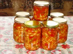 Salata de fasole ROPOTAMO