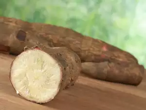 Manioc