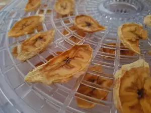 Cum să uscăm fructele într-un deshidratator?