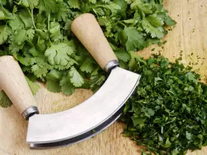 Coriandru