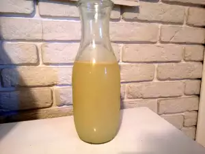 Stock de casă de rață (concentrat)