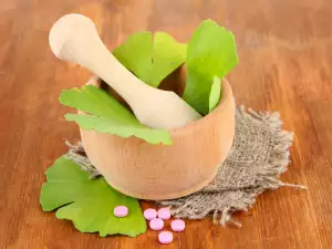 Ginkgo biloba