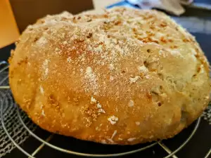 Pâine cu maia și quinoa