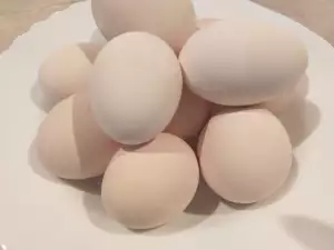 Albirea ouălor de găină pentru Paște