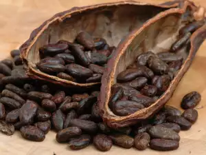 Cacao