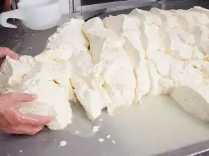 Cum se maturează brânza?