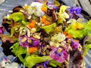 Salata cu violete