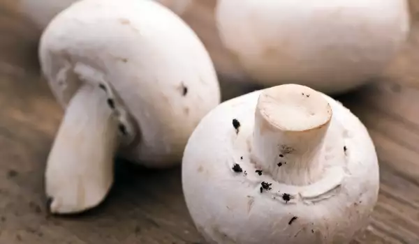 Trebuie ciupercile curățate de membrană?