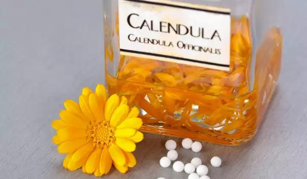 Planta medicinală gălbenea