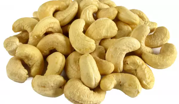 Oleaginoase caju