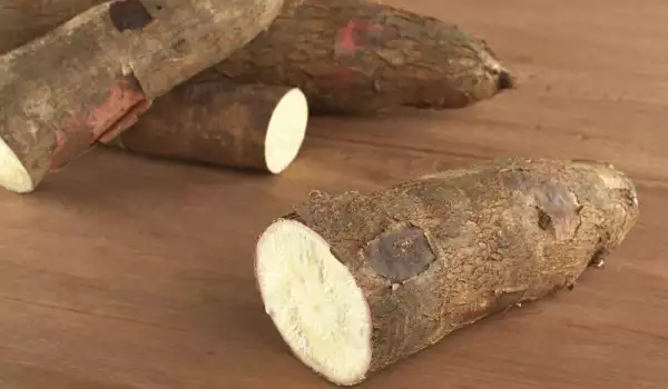 Manioc