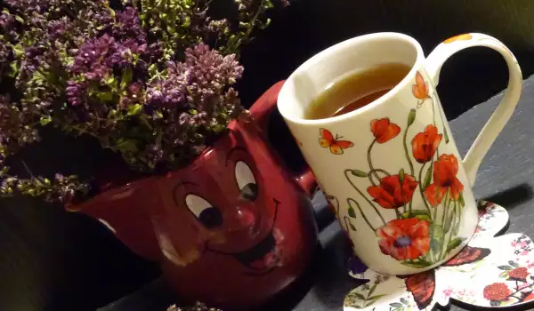Ceai de oregano (Origanum vulgare)