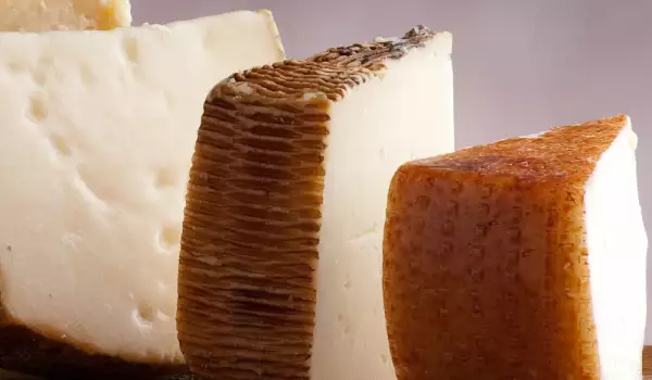 Gruyere elevțiană