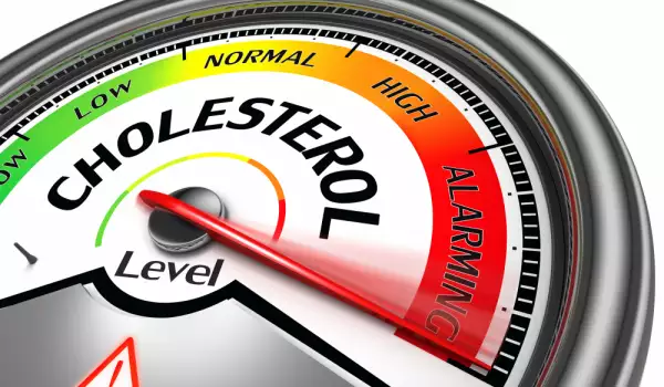 Care sunt simptomele colesterolului crescut