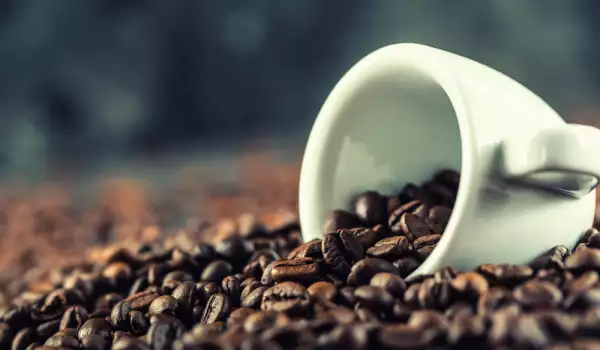 Cafea Robusta - ce trebuie să știm despre ea