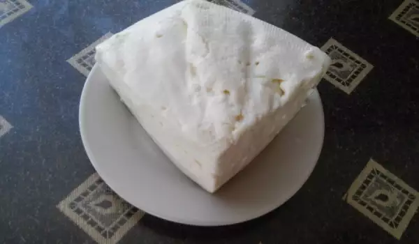 Brânză de bivoliță, preparată în casă