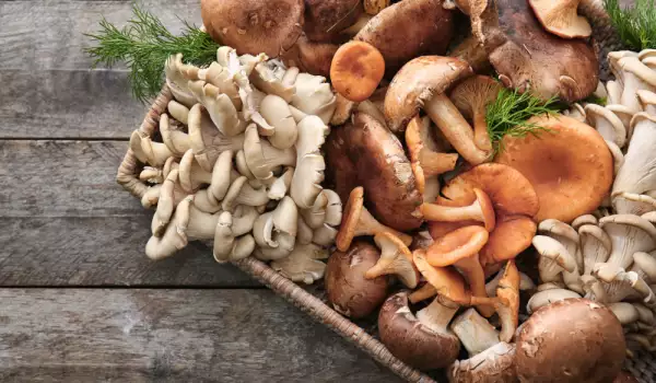 Cum se păstrează ciupercile?