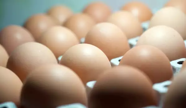 Cât timp rezistă ouăle la frigider?