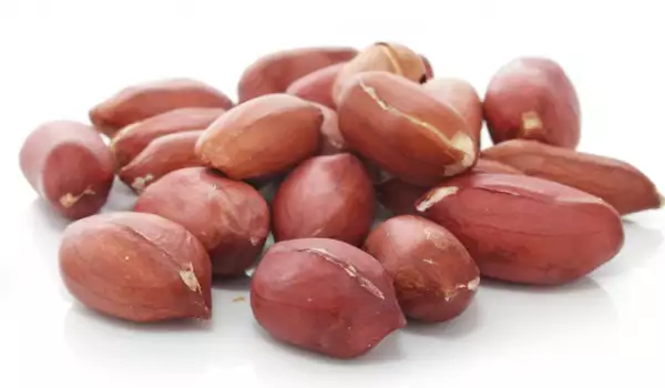 Alunele sunt un aliment proteic