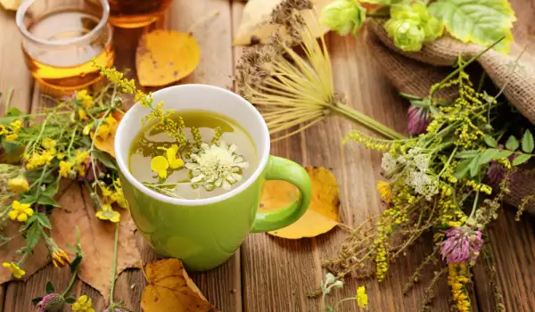 Detoxificarea organismul cu plante