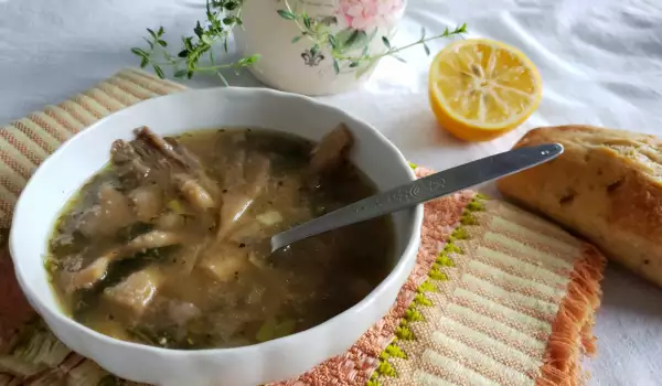 Supă de ciupercă Pleurotus