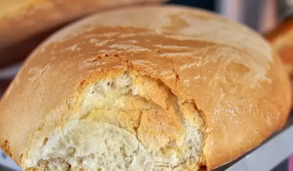 Alimente cu o cantitate surprinzătoare de carbohidrați