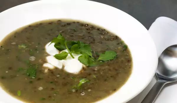 Tocăniță de linte verde