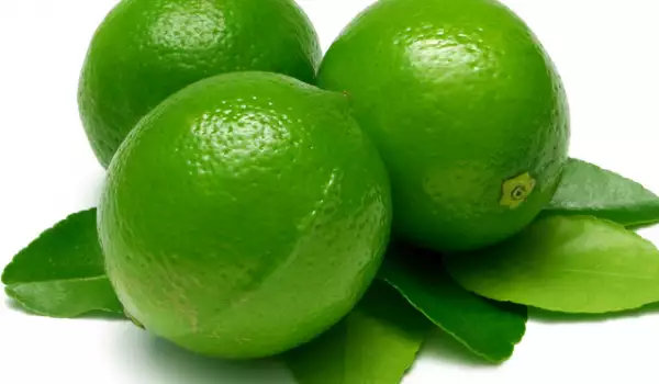 Citrice - limete