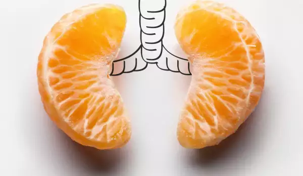 Desen cu mandarine