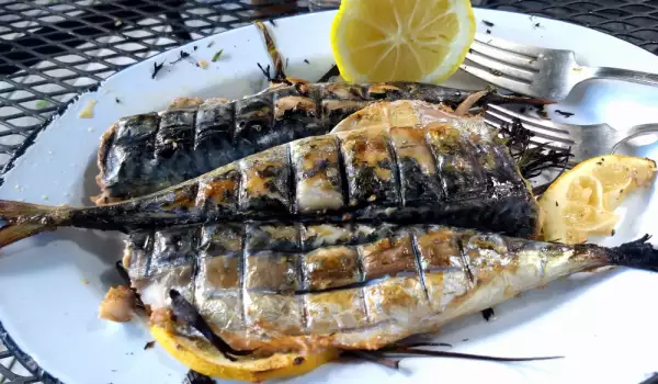 Macrou la grătar