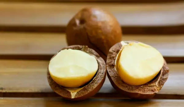 Macadamia nuci