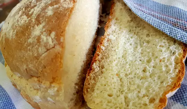 Pâinea leneșului