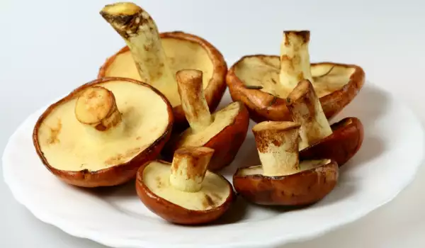 Bureți
