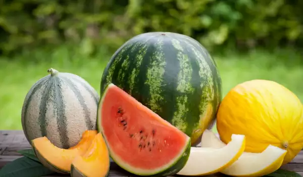 Înghețată rapidă de pepene galben sau pepene verde